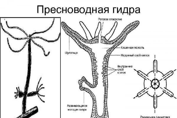 Кракен купить наркотики